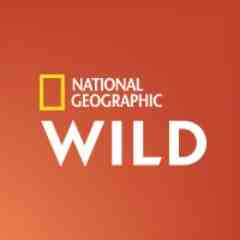 Quel est le numéro de la chaîne National Geographic ?